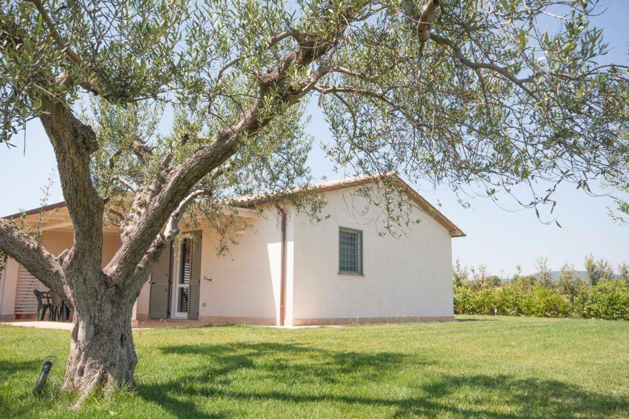 Agriturismo Il Mirto ペーシャ・ロマーナ エクステリア 写真