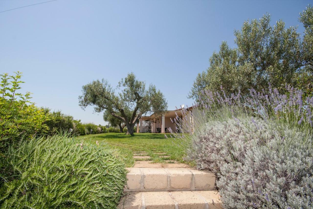 Agriturismo Il Mirto ペーシャ・ロマーナ エクステリア 写真
