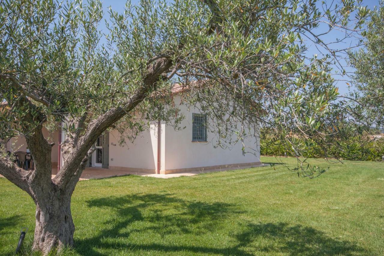 Agriturismo Il Mirto ペーシャ・ロマーナ エクステリア 写真