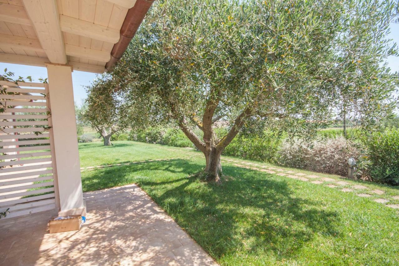 Agriturismo Il Mirto ペーシャ・ロマーナ 部屋 写真